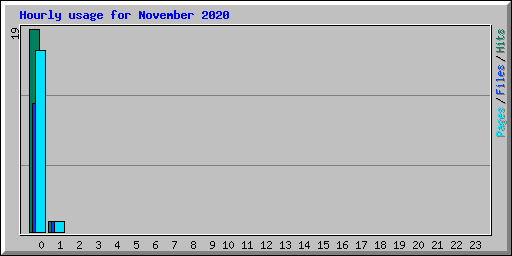 Hourly usage for November 2020